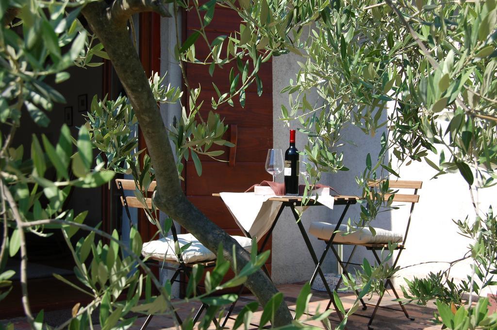 Vila Olivahouse Marezige Exteriér fotografie